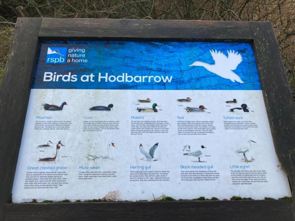 Kingdom Holiday Park - Parrot ミロム エクステリア 写真